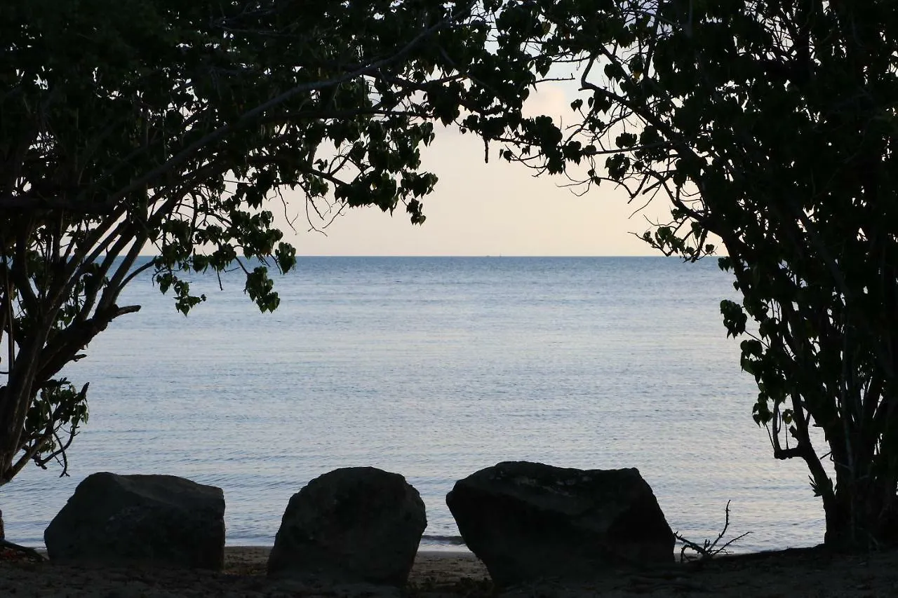 Caguax 206 Daire Cabo Rojo